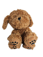 Bear the Doodle Peluche