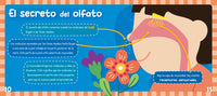 El Olfato